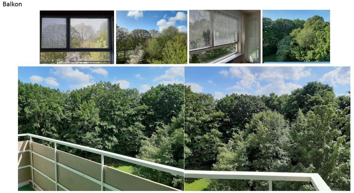 Homesweethome Free Parking Wifi Elevator Balcony Kassel Exteriör bild